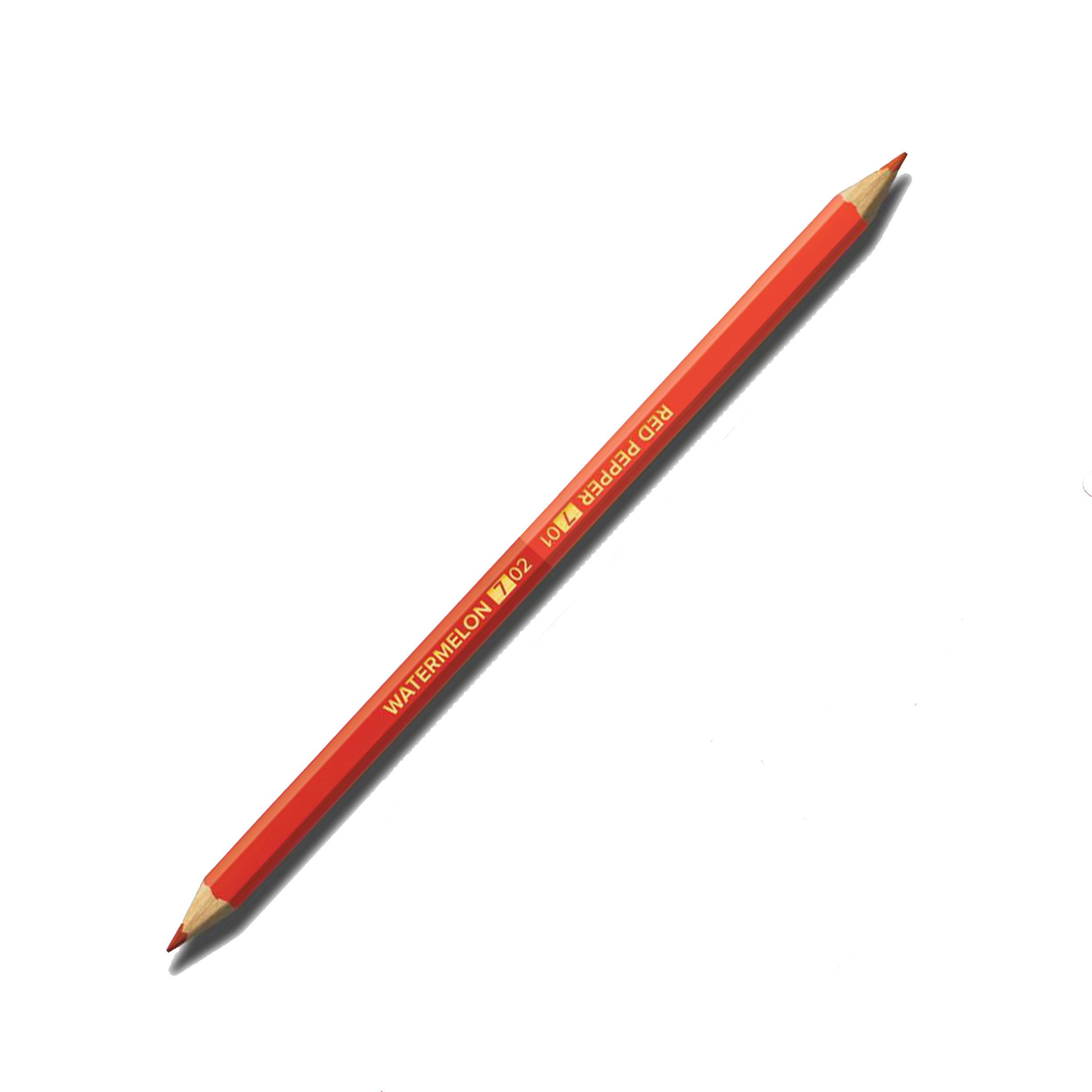 Chameleon Color Tones Colored Pencil