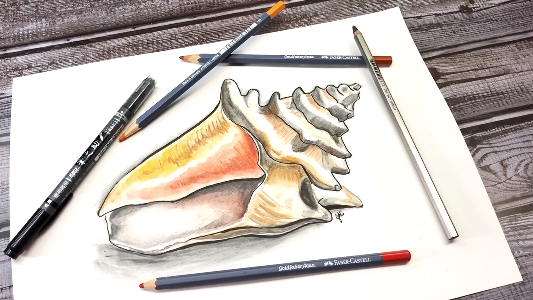 Draw a Seashell