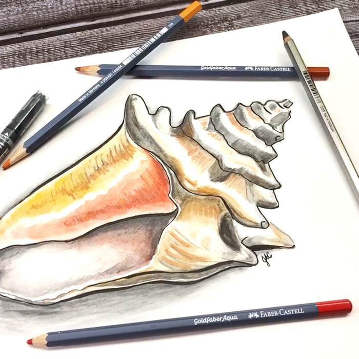 Draw a Seashell